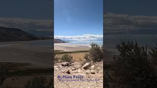 Buffalo Point Salt Lake [upl. by Pardner]