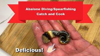 BEACH HERMIT EP 31  Spearfishing and Abalone Diving Catch and Cook Species ID Winkles Chillout [upl. by Elihu]