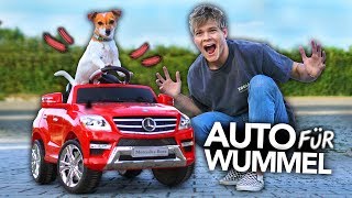 ICH KAUFE MEINEM HUND EIN AUTO  Joeys Jungle [upl. by Haskell]