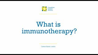 Cancer Basics – Immunotherapy [upl. by Wendall]