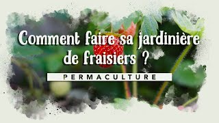 Plantation de fraisiers dans une jardinière pour le balcon  🍓 🍓 [upl. by Conlen]