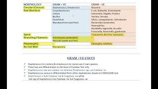 Microbiology  Bacteriology  grampositive and gramnegative bacteria gram  cocci Part 03 [upl. by Olin]