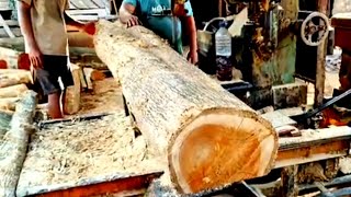 Awesome sawmills operator Sawing Skills Very hard Teak wood [upl. by Mosra435]