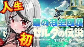 【 ティアキン 】地上絵の秘密が明らかに！ 龍の泪 編！ ゼルダの伝説ティアーズオブキングダム【ホロライブ沙花叉クロヱ】 [upl. by Jeannine]