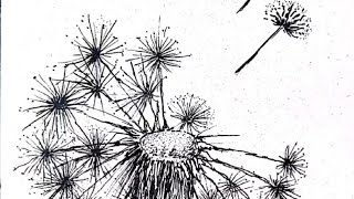 First experience with Pelikan Graphos pen amp ink drawing a dandelion music The Flower Of Carnage [upl. by Genaro]