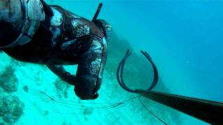 spearfishing with gopro HD May 2011 [upl. by Carline804]