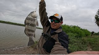 DE NUEVO EN EL SPOT ARROYO CITY FISHING 2024 [upl. by Nahta180]