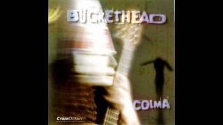 Buckethead  Lone Sal Bug  Colma [upl. by Naeerb]