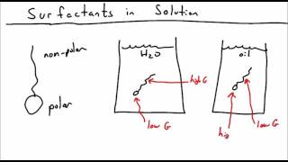 Introduction to Surfactants [upl. by Margot]