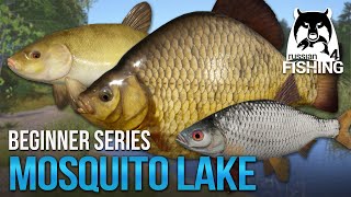 Lvl 115 Mosquito Lake 2022 Starting Equipment amp Recommendations Ep 2 l Russian Fishing 4 [upl. by Nede976]