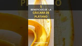 5 Beneficios de la cáscara de plátano para la salud [upl. by Olecram]