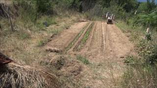 Buter les haricots verts semis du 28 juin 2017 [upl. by Halika]