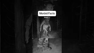 Morbid facts you haven’t heard before morbid scary interesting [upl. by Minton]