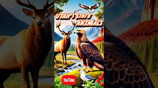 Utahs Official State Animals 🦌🕊 Utah Statebird Animals [upl. by Lutim596]