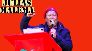 South Africas Greatest Heist Julius Malema amp the Pension Fund Scandal [upl. by Lolande]