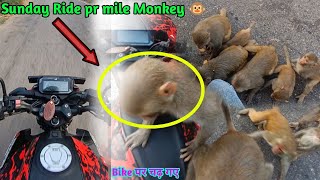 Sunday Ride pr mile Monkey🐵monkey bike pr Chad Gaya Sunday Ride super bikeSunday Ride in Gurgaon [upl. by Leisha]