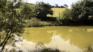 WEEK FARM BRIDESTOWE OKEHAMPTON DEVON [upl. by Enoyrt453]