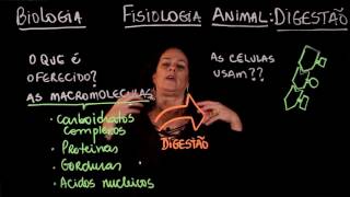 Aula 96 FISIOLOGIA ANIMAL Digestão parte 1  Aulas ENEM [upl. by Nannaihr704]