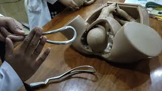 FORCEPS DELIVERY demonstration on DUMMY easy way to go 2 [upl. by Lyrret]