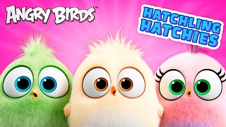 Angry Birds Hatchling Hatchies  Peace 💖 [upl. by Edbert]