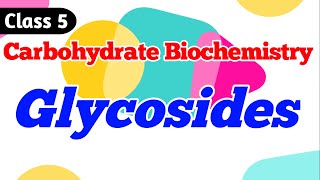 Glycosides  What are Glycosides Carbohydrate Biochemistry Class 5 [upl. by Ohcirej622]