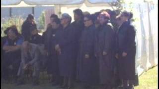 NGA WAIATA TAWHITO O WAIKATO [upl. by Josee]