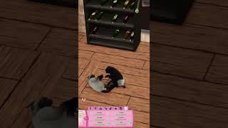 Cats in The Sims 3 are too cute sims3 [upl. by Oek]