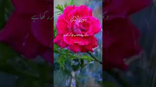 Quran hadayat ka zariya he❤️likshortyoutubesubscribemychannel [upl. by Parnas]