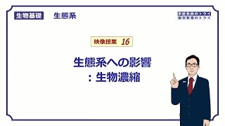 【生物基礎】 生態系16 生態系への影響：生物濃縮 （１１分） [upl. by Caty]