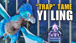 How to Tame Yi Ling with a quotTrapquot  Ark Survival Ascended [upl. by Spillihp]