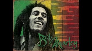 Bob Marley  Rainbow Country Rasticles drum n bass remix [upl. by Arytal]