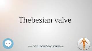 Thebesian valve Anatomy Named After People 🔊 [upl. by Inajar]