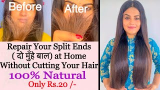 HOW I REPAIR MY SPLIT ENDS AT HOME   दो मुँहे बाल Split Ends Treatment At Home Splitends [upl. by Kavanagh]