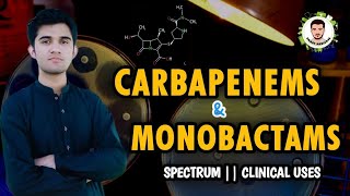 Carbapenems amp Monobactams SpectrumClinical Uses in UrduHindi [upl. by Ahdar]