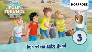 Fünf Freunde Junior  Folge 3 Timmy der MeisterdetektivDer vermisste Hund  Hörprobe zum Hörspiel [upl. by Akeenahs]