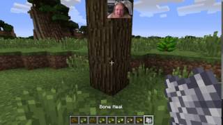 HarvestCraft 1710 Tutorials  Temperate Fruit Trees [upl. by Trelu]