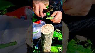 芒果樹嫁接的詳細過程，50秒教會你果樹嫁接技巧Detailed whole process of mango tree grafting teach you fruit tree grafting [upl. by Berardo]