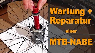 Wartung  Reparatur einer Shimano Mountainbike Nabe [upl. by Notyalc]