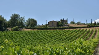 VIGNALE  Villas in Lecchi in Chianti Siena Tuscany [upl. by Durer]