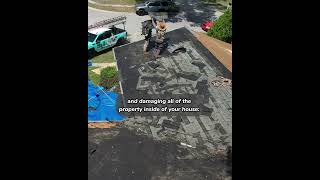 I Installed a 30 Year Roof in 1 Day [upl. by Euphemiah]