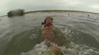 Duck Hunting Bay Flats Lodge Seadrift Texas [upl. by Eltsyrhc879]