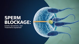 Sperm Blockage Causes Symptoms and Treatments Explained [upl. by Schoenfelder]