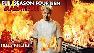 SO MANY Iconic Hells Kitchen Moments  Full Season 14 Marathon [upl. by Ttocs]