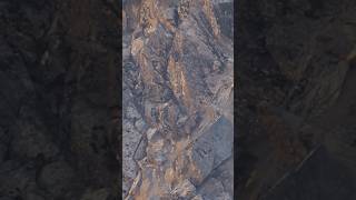 Ibex Fighting Top of the Mountain  ibex35 animals duet respect old gb mountains viralvideo [upl. by Retsae]