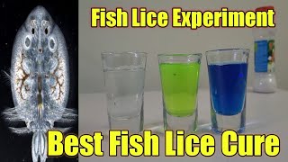 Fish Lice Treatment kenaqua [upl. by Atileda]