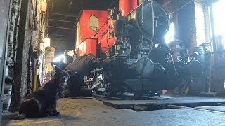 A Day trip to Talyllyn Railway [upl. by Kelsy805]