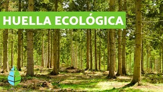 ¿Qué es la HUELLA ECOLÓGICA 👣 CALCULAR huella ecológica [upl. by Ateiram]