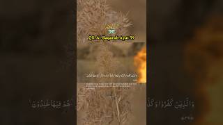 Salim bahanan  Surah AlBaqarah Ayat 39  Quran In Beautiful Recitation shorts alquran [upl. by Anecusa]