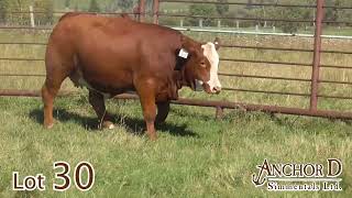 Lot 30 Anchor D Linda 387L [upl. by Eryt]