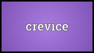 Crevice Meaning [upl. by Jopa630]